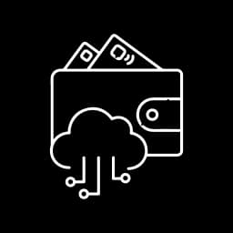 Mobile Wallets and Online Payment Solutions